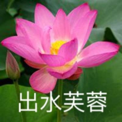 龙城霸业永恒手游